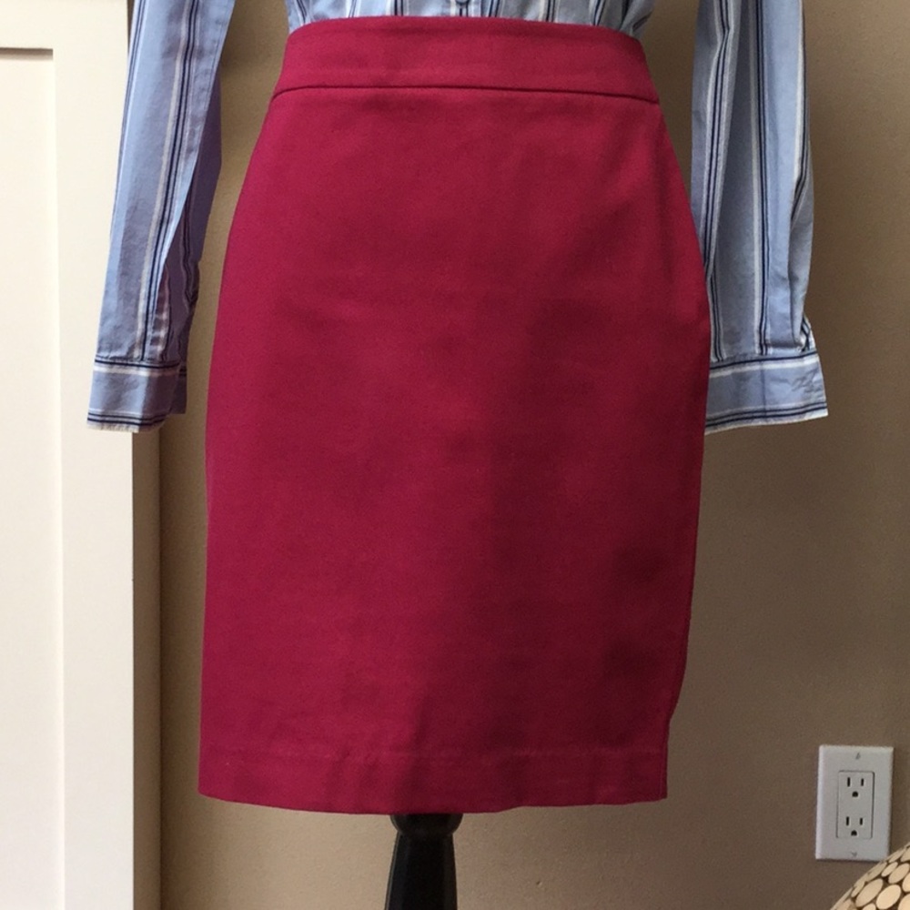 Ann Taylor Loft skirt